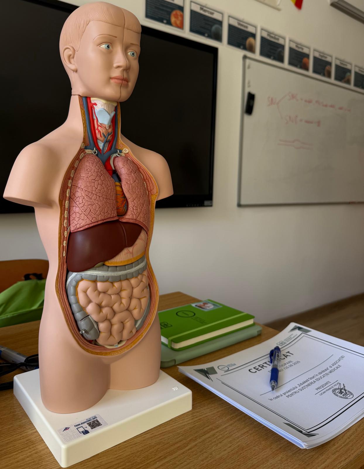 EduMed pentru gimnaziu